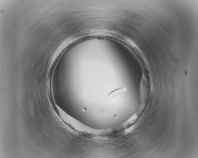 X0000052931376200507221111