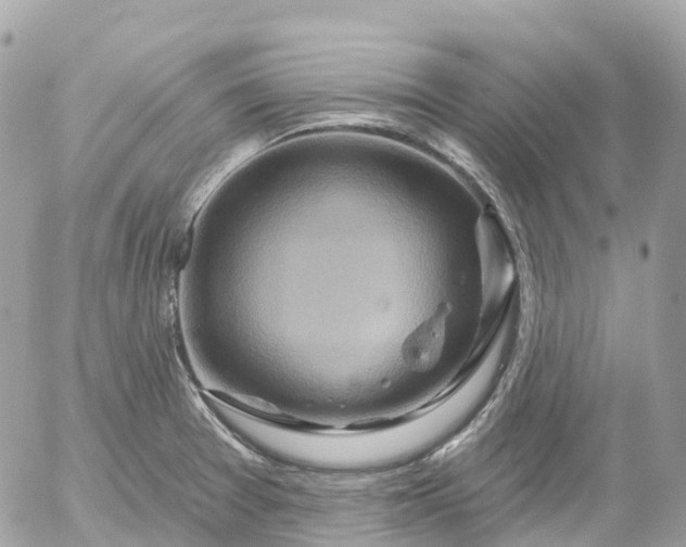 X0000052931377200507221110