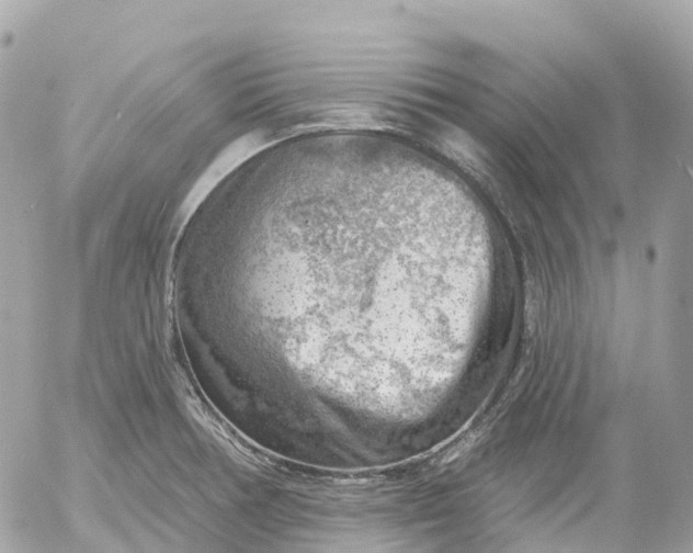 X0000052931378200507221110