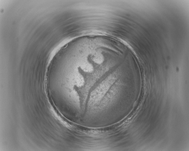 X0000052931379200507221110