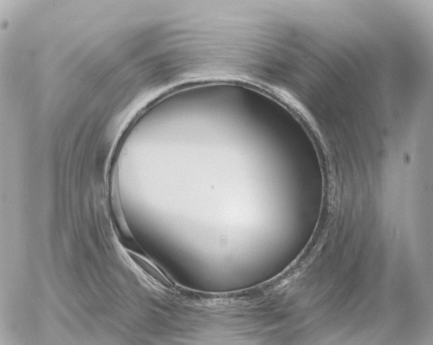 X0000052931380200507221110