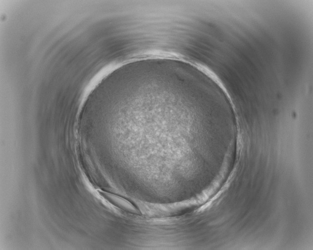 X0000052931381200507221110