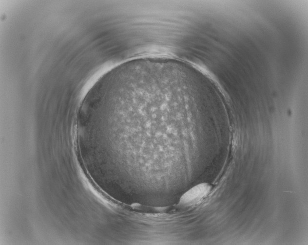 X0000052931383200507221110