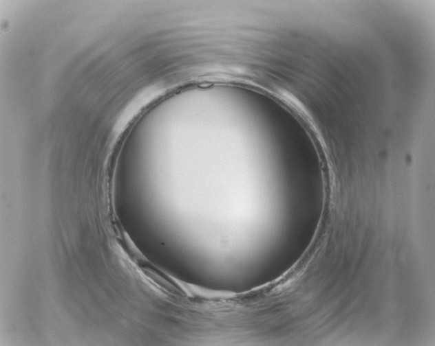 X0000052931384200507221110