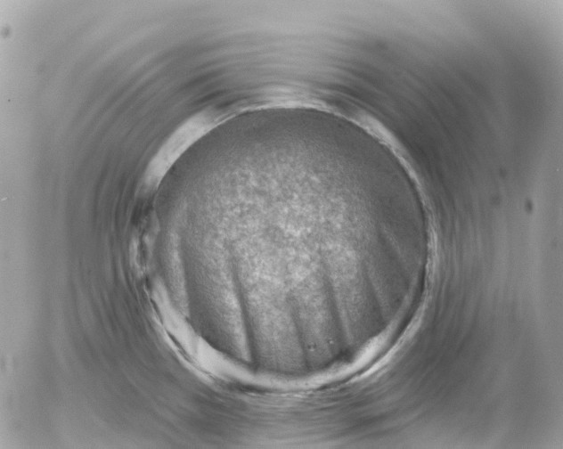 X0000052931385200507221110