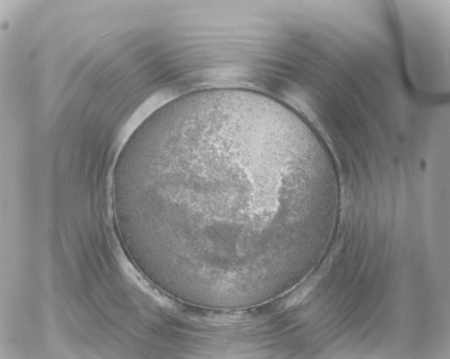 X0000052931386200507221110