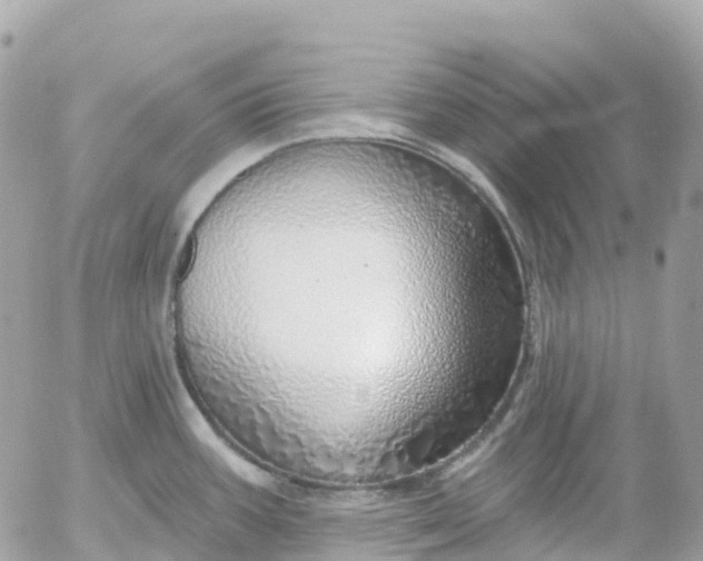 X0000052931387200507221110