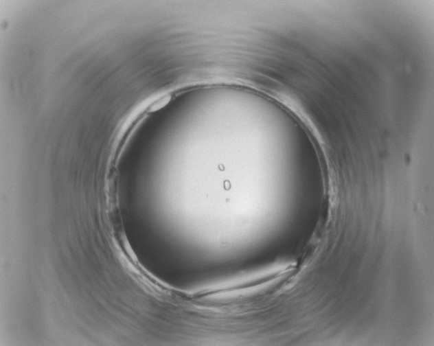 X0000052931388200507221110