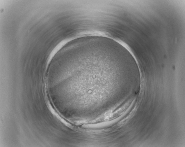 X0000052931389200507221110