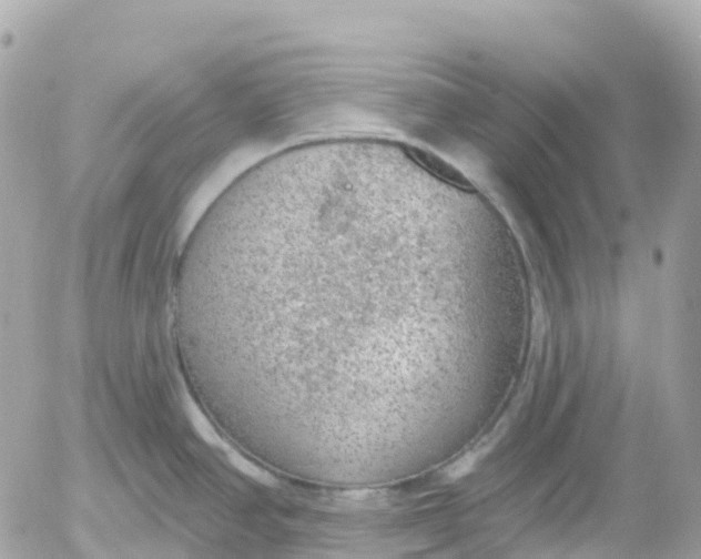 X0000052931390200507221110