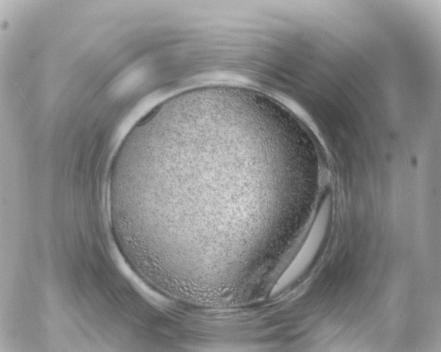 X0000052931391200507221110