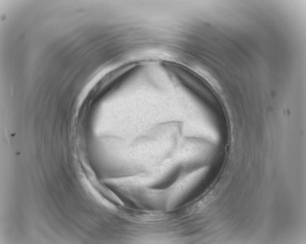 X0000052931392200507221110