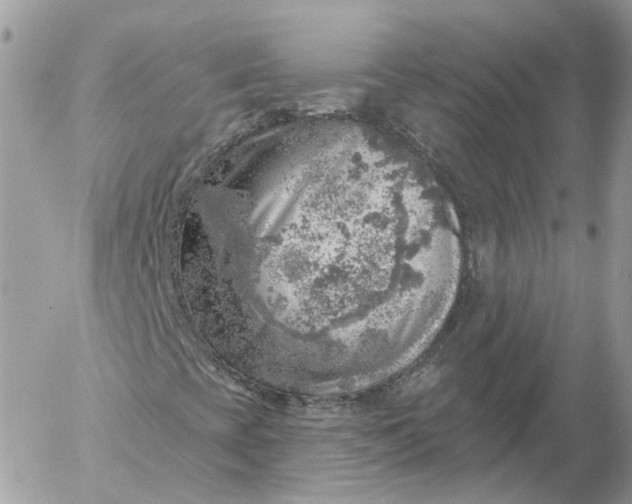 X0000052931393200507221109