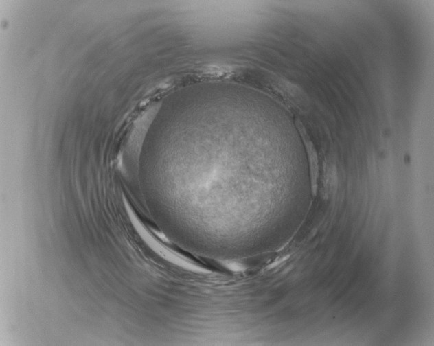 X0000052931394200507221109