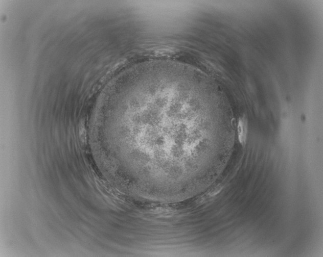 X0000052931395200507221109