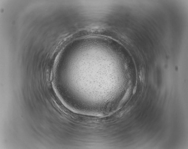 X0000052931396200507221110