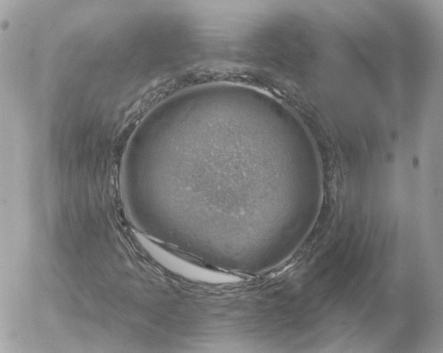 X0000052931397200507221110