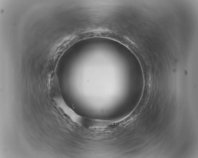 X0000052931398200507221110