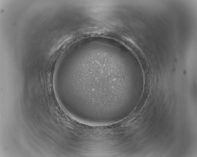 X0000052931399200507221110