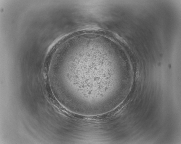 X0000052931400200507221110