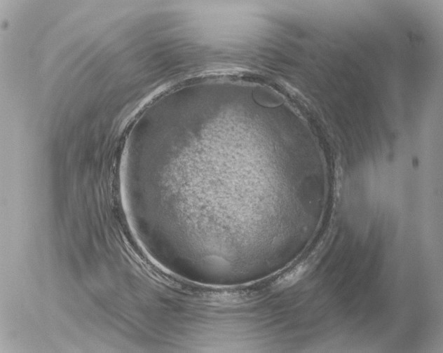 X0000052931401200507221110