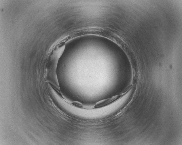 X0000052931402200507221110