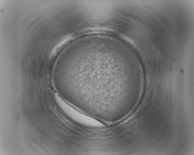 X0000052931403200507221110