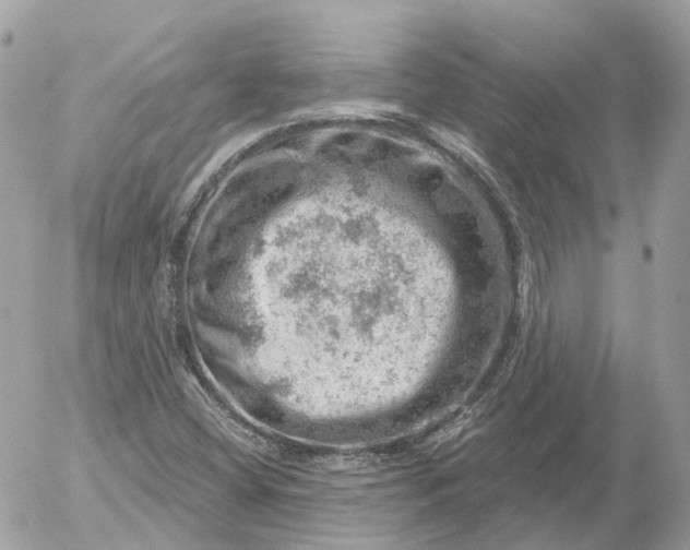 X0000052931404200507221110