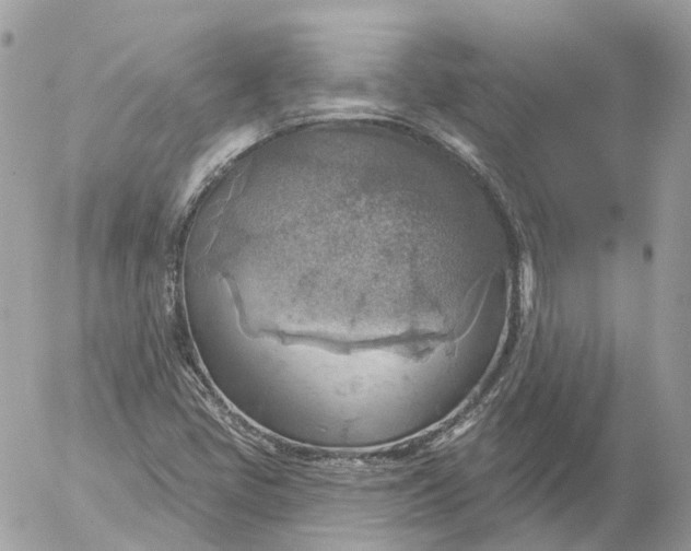 X0000052931405200507221110