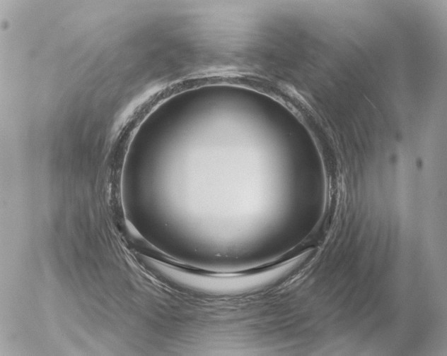 X0000052931406200507221110