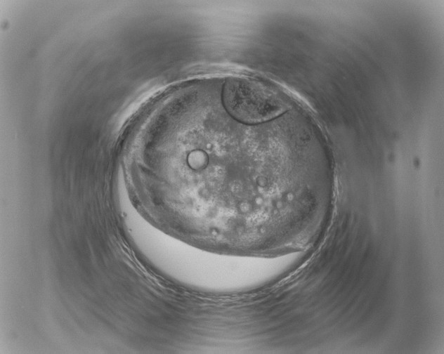 X0000052931407200507221110