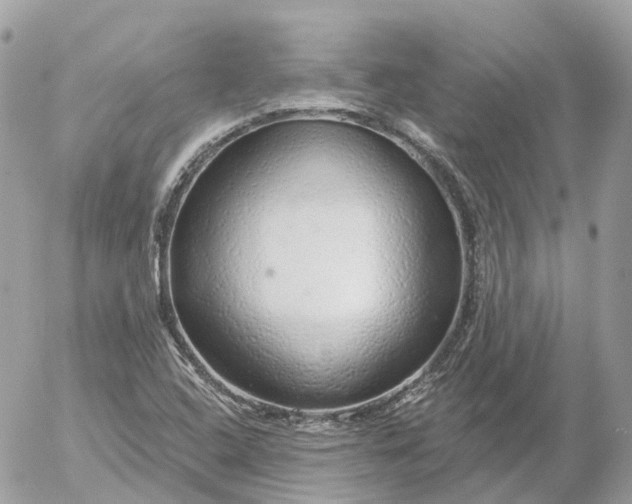 X0000052931408200507221110