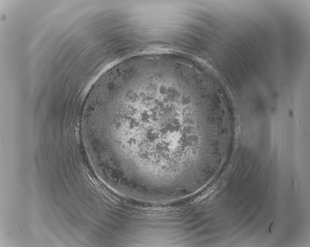 X0000052931409200507221110