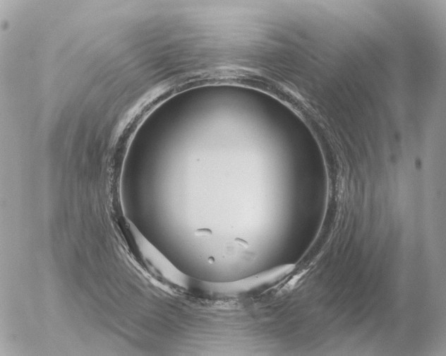 X0000052931410200507221110