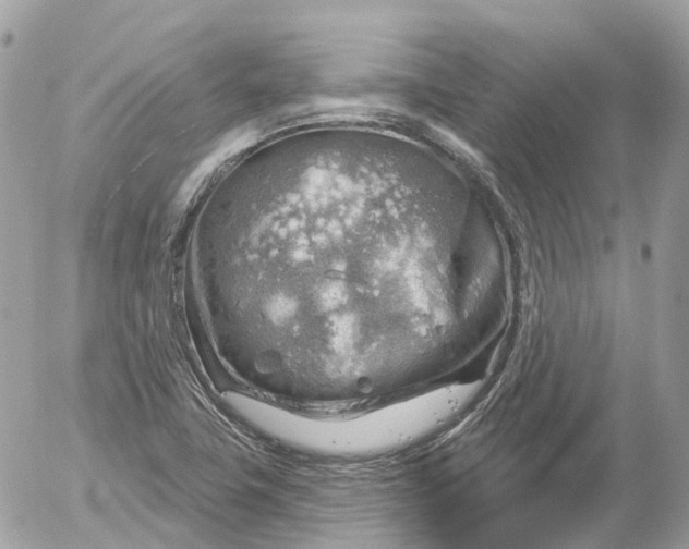 X0000052931411200507221110