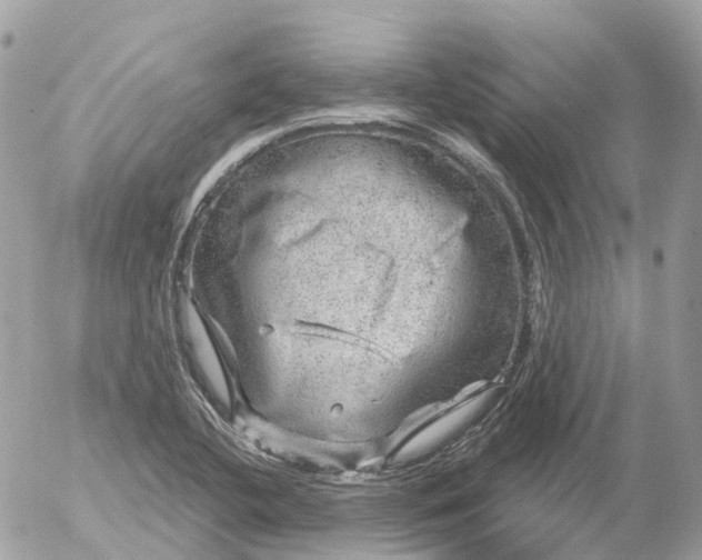 X0000052931412200507221110