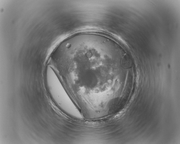 X0000052931413200507221110