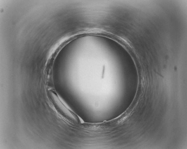 X0000052931414200507221110