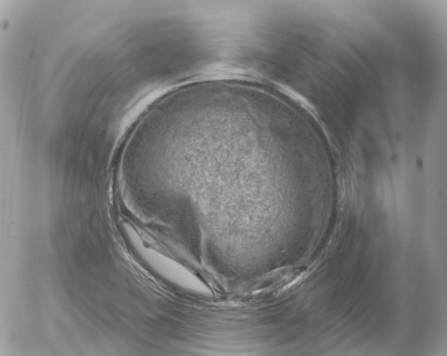 X0000052931415200507221110