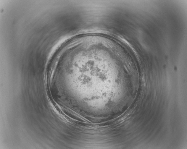 X0000052931416200507221110