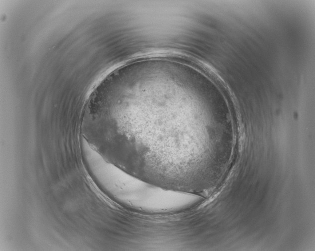 X0000052931417200507221110