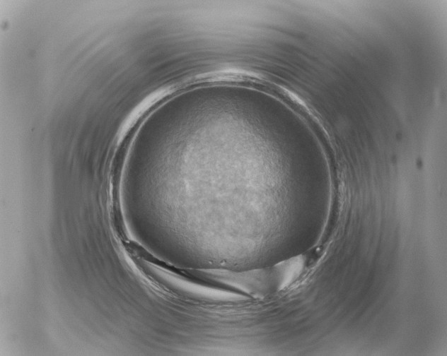 X0000052931418200507221110