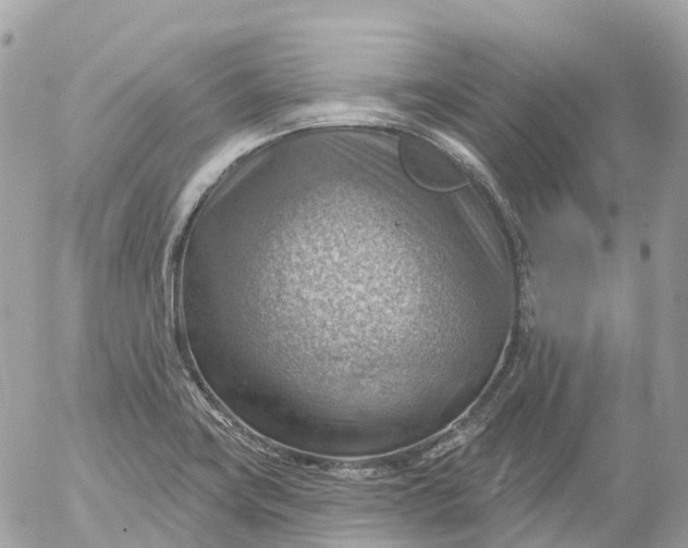 X0000052931419200507221110