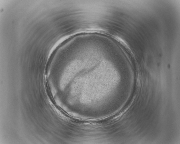 X0000052931420200507221110