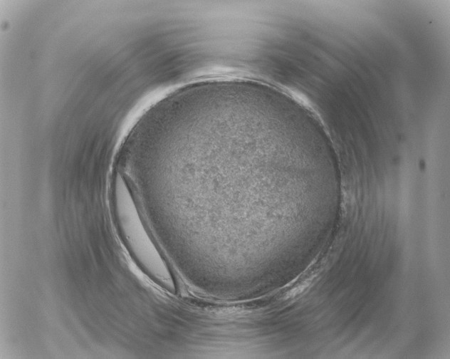 X0000052931421200507221110