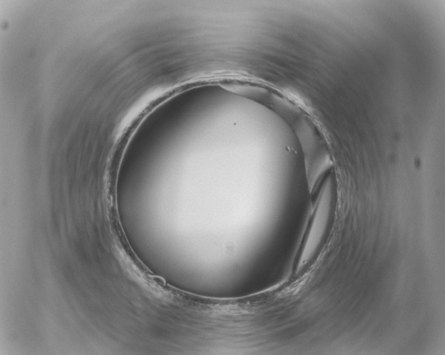 X0000052931422200507221110