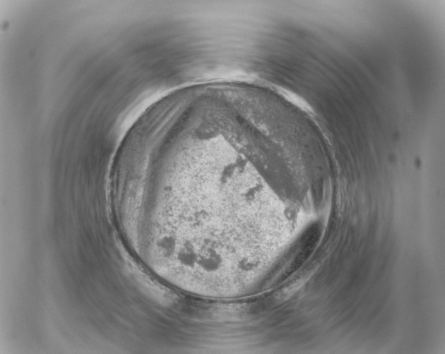 X0000052931423200507221110