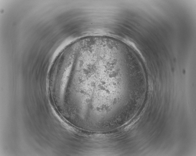 X0000052931424200507221110