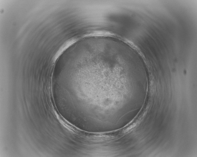 X0000052931425200507221110