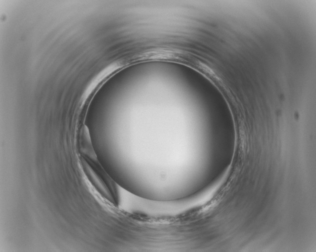 X0000052931426200507221110